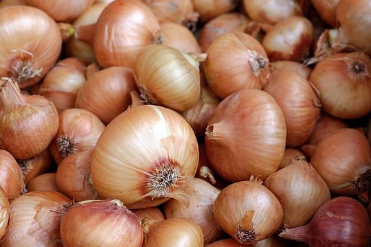 onions-1397037_150.jpg