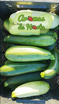 STORYcourgette-03.png