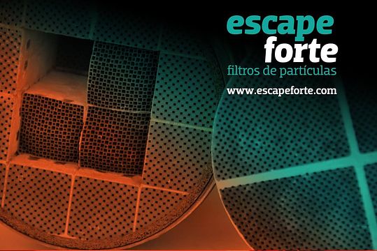 Escape Forte | Maia