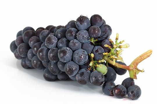 grapes-2032838_150.jpg