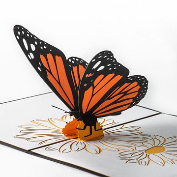 Butterfly Pop Up Card.jpg