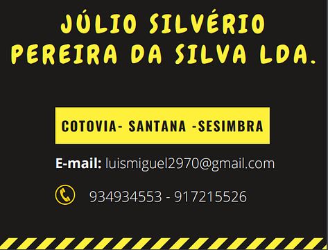 Júlio Silvério Pereira Da Silva, Lda.