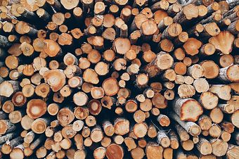 Somos conhecidos pela qualidade da nossa madeira, e assim queremos continuar a ser. Dispomos de diversos tipos de lenha para venda, como: Lenha de Sobro Lenha de Eucalipto Lenha de Pinho Lenha de Oliveira Lenha de Freixo Lenha de Acácia Encarnada