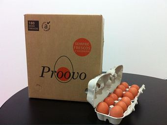 Transporte de Ovos