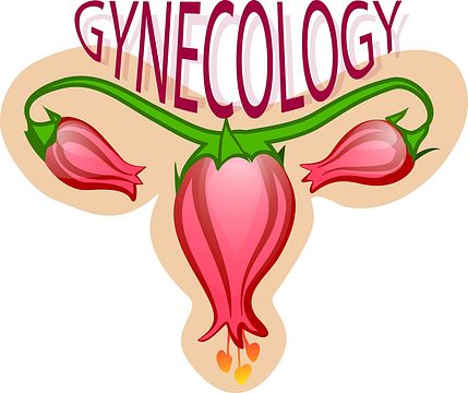gynecology-2533145_150.jpg