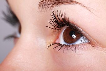 Contactologia , Optometria e Medição Tensão Ocular.