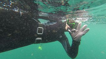 Experiência de Snorkeling - Árrábida