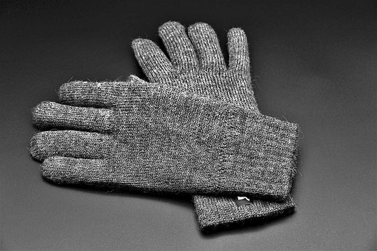 gloves-3885830_150.jpg