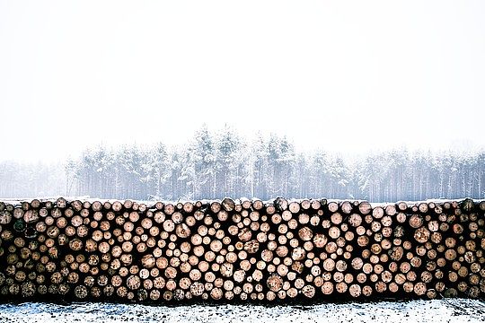 lumber-1246545_150.jpg