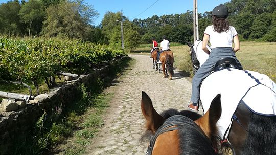 Quinta de Chelo - Turismo Equestre 