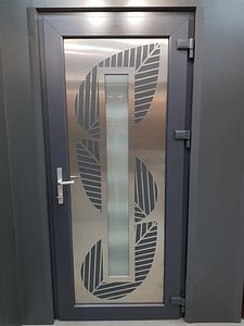 Entrance pvc doors