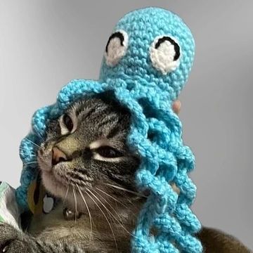 Cats the crochê