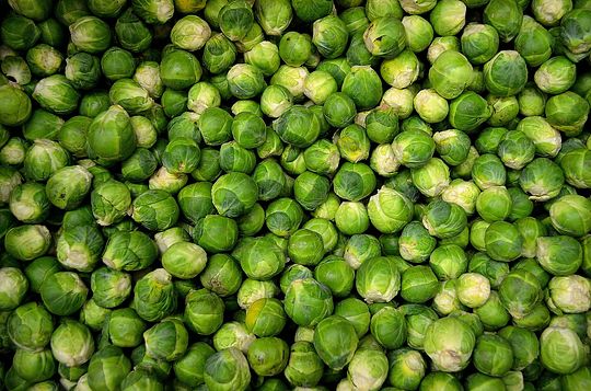 brussels-sprouts-22009_150.jpg