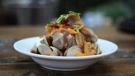 clams-2.jpg