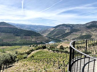 Douro Valley Tour - Full Day