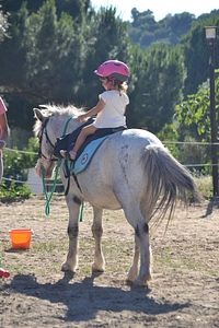 Aulas de Equitação de Pónei (dos 2 aos 6 anos)