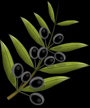 olives-1992013_150.png