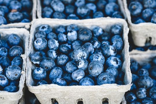 blueberries-1326154_150.jpg