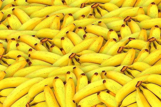 bananas-1119790_150.jpg